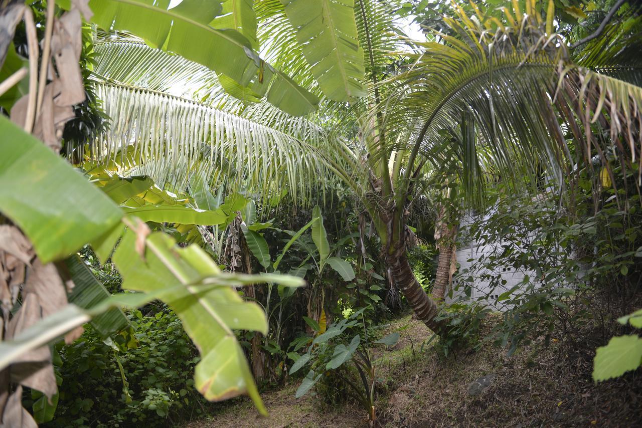海伦娜住宿加早餐别墅 圣玛丽 外观 照片